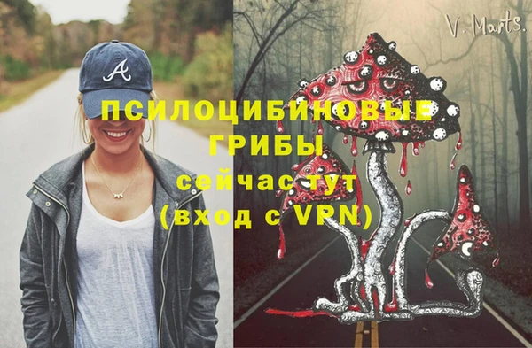 дмт Белокуриха
