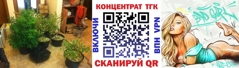 ТГК Wax  кракен как зайти  Гороховец 