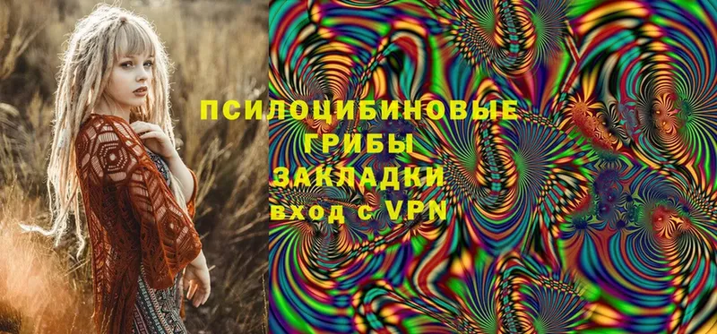 Галлюциногенные грибы Cubensis  закладка  Гороховец 